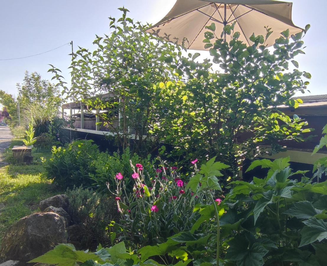 Bed and Breakfast Bateau Entre Lille Et Paris Thourotte Esterno foto